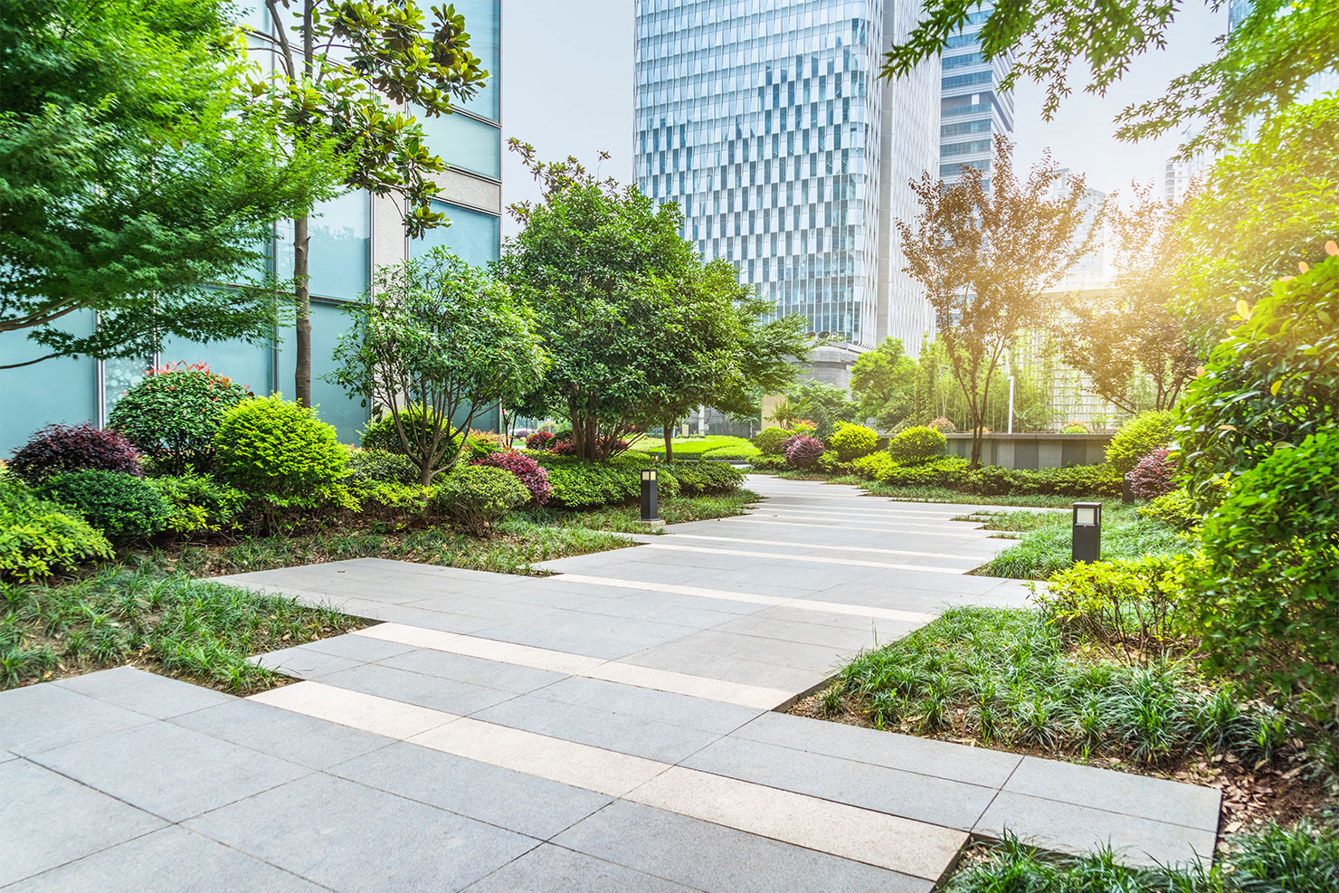 Gepflegter Garten neben Hochhäusern