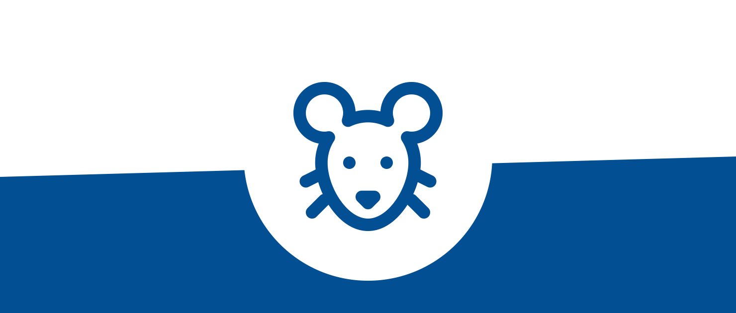 Icon Maus