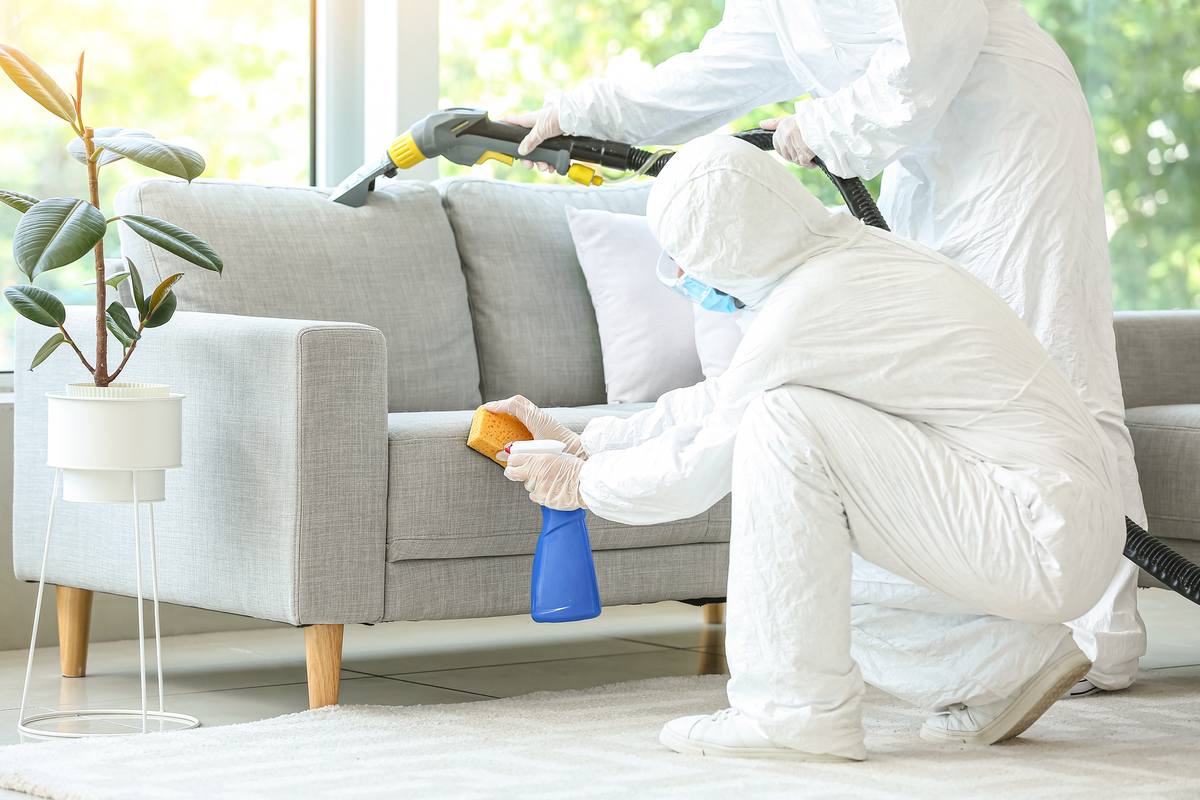Zwei Schädlingsbekämpfer in Schutzkleidung desinfizieren ein Sofa
