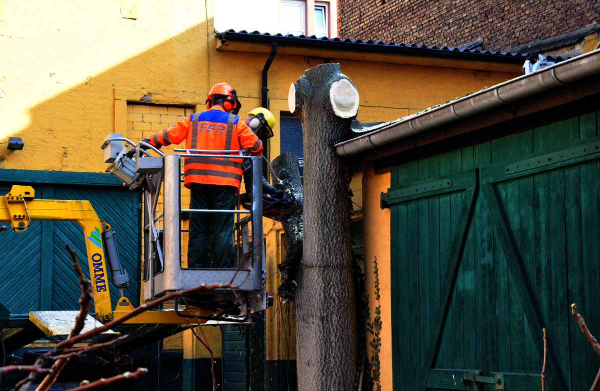 Zwei Mitarbeiter auf einem Hubsteiger schneiden einen Baumstamm