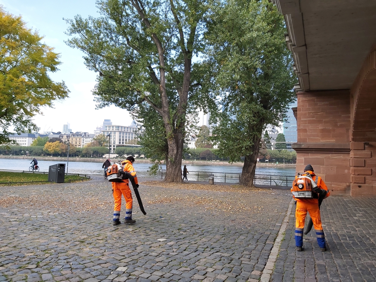 Zwei Mitarbeiter entfernen Laub mit Laubbläsern